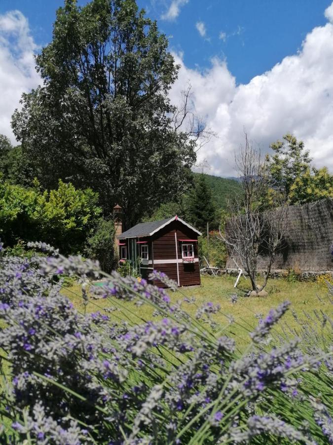 Hotel Rural El Marquesito Antigua Casa Carmela آريناس دي سان بيدرو المظهر الخارجي الصورة