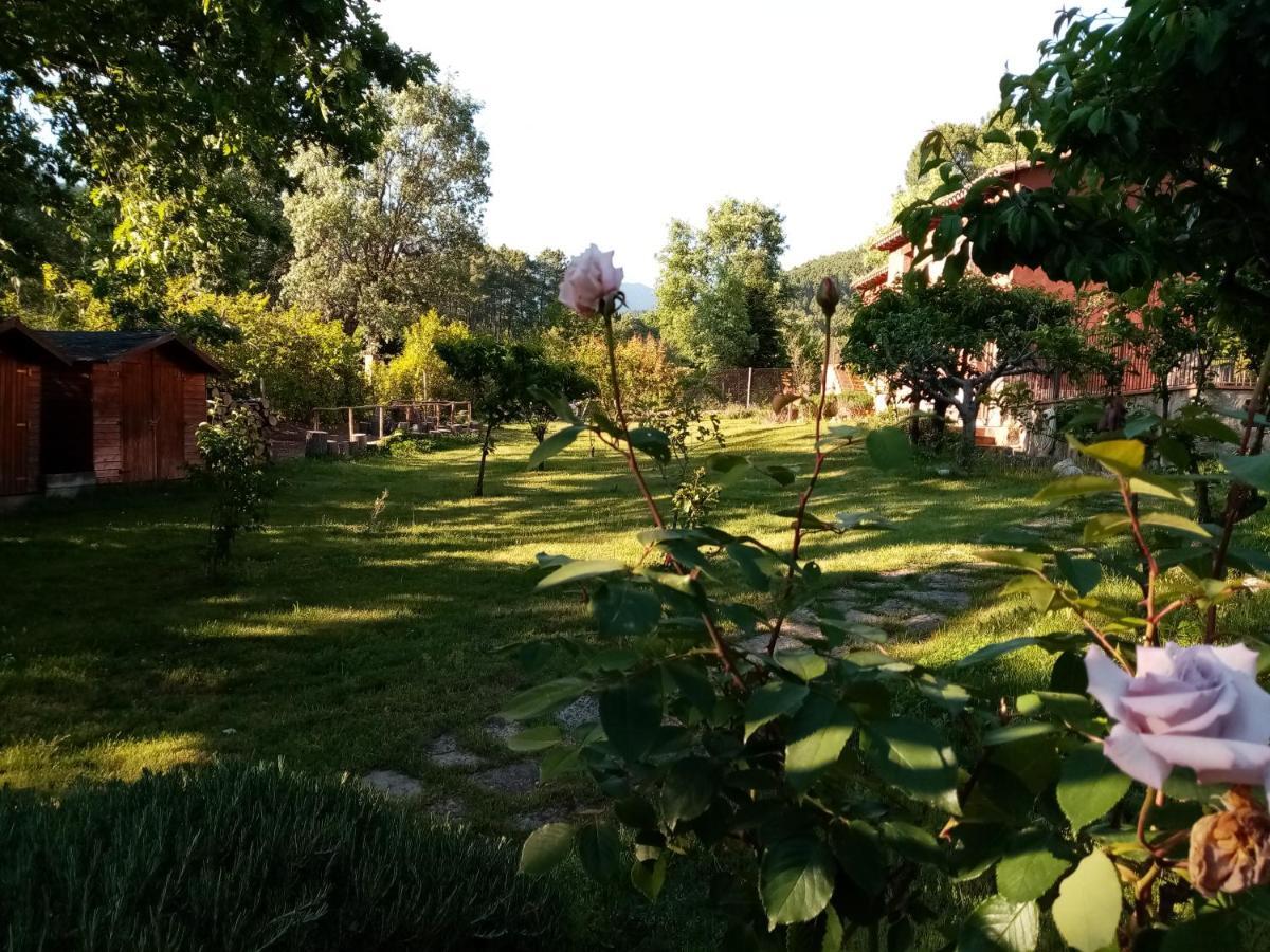 Hotel Rural El Marquesito Antigua Casa Carmela آريناس دي سان بيدرو المظهر الخارجي الصورة